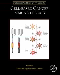 Cell-based Cancer Immunotherapy