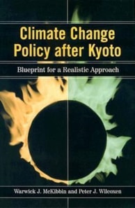 Climate Change Policy after Kyoto