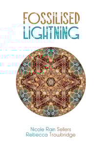 Fossilised Lightning