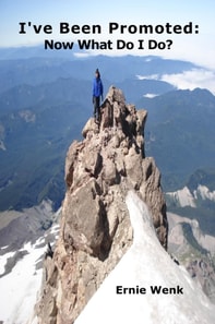 I've Been Promoted: Now What Do I Do?