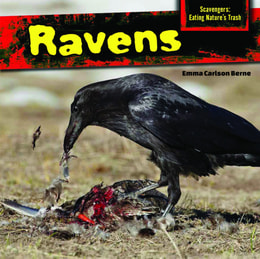 Ravens