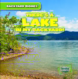 There's a Lake in My Backyard!