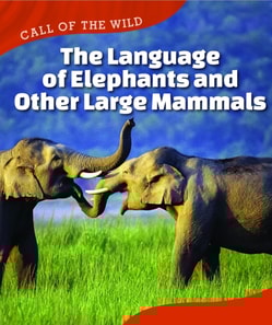 Language of Elephants and Other Large Mammals