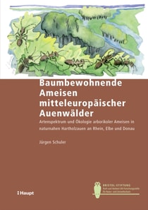 Baumbewohnende Ameisen mitteleuropäischer Auenwälder