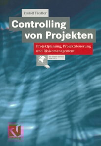Controlling von Projekten