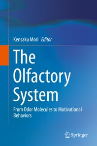 Olfactory System