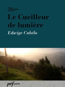 Le Cueilleur de lumière