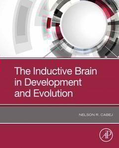 Inductive Brain in Development and Evolution