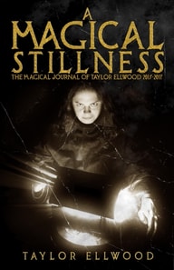 Magical Stillness: The Magical Journals of Taylor Ellwood 2015-2017