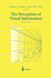 Perception of Visual Information
