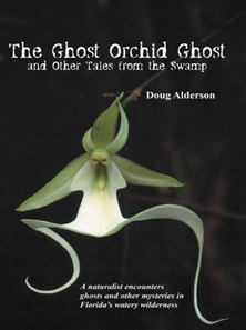 Ghost Orchid Ghost