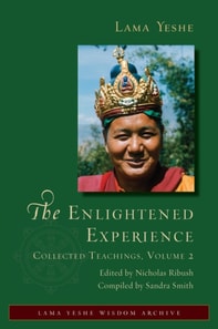 Enlightened Experience: Collected Teachings, Volume 2