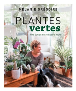 Plantes vertes