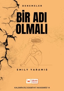 Bir Adi Olmali