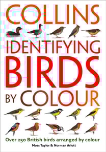 Identifying Birds by Colour