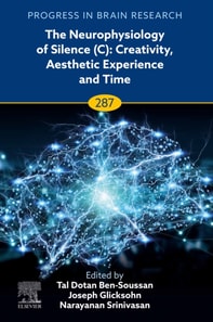 Neurophysiology of Silence (C): Creativity, Aesthetic Experience and Time
