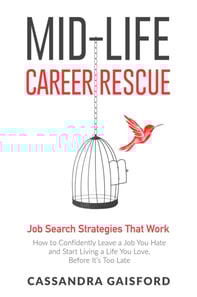 Mid-Life Career Rescue : Job Search Strategies That Work