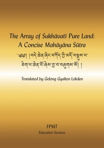 Array of Sukhavati Pure Land: A Concise Mahayana Sutra eBook