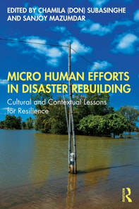 Micro Human Efforts in Disaster Rebuilding