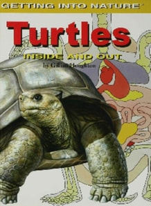 Turtles