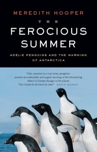 Ferocious Summer