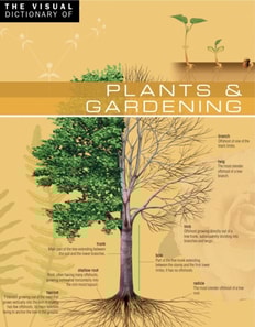 Visual Dictionary of Plants & Gardening