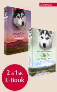 Allein am Stony Creek / Schutzlos am Red Mountain - Alaska Wilderness 3 & 4 (Bundle)