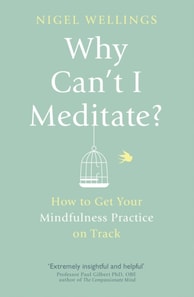 Why Can't I Meditate?