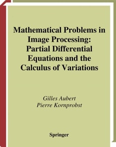 Mathematical Problems in Image Processing