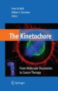 Kinetochore: