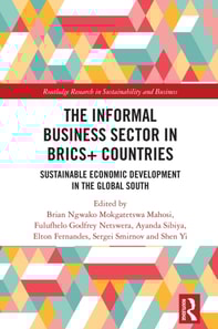 Informal Business Sector in BRICS+ Countries