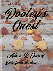 Dooley's Quest