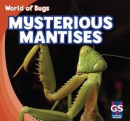 Mysterious Mantises