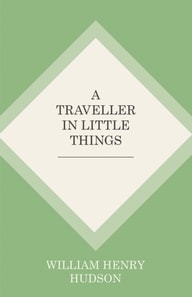 Traveller in Little Things