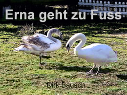 Erna geht zu Fuss