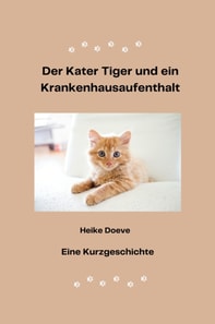 Der Kater Tiger und ein Krankenhausaufenthalt
