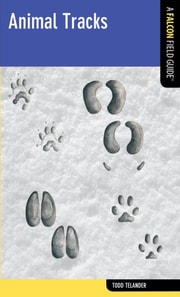 Animal Tracks