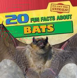 20 Fun Facts About Bats