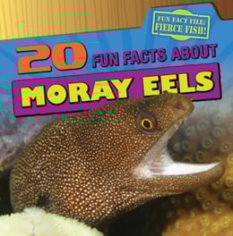 20 Fun Facts About Moray Eels