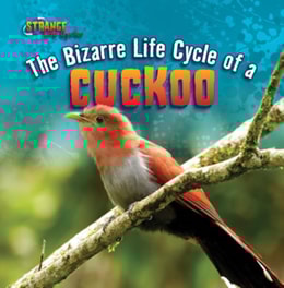 Bizarre Life Cycle of a Cuckoo