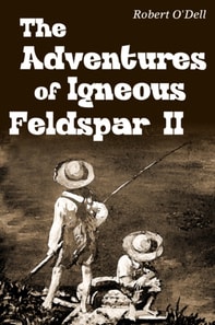 Adventures of Igneous Feldspar II