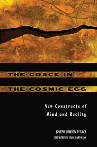 Crack in the Cosmic Egg