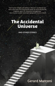 Accidental Universe and Other Stories