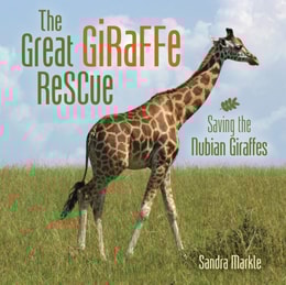 Great Giraffe Rescue