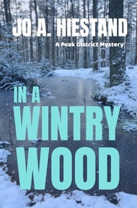 In A Wintry Wood