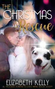 Christmas Rescue