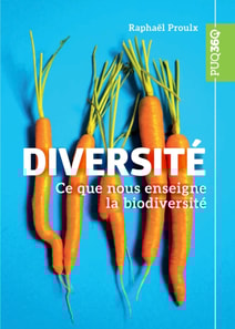 Diversité