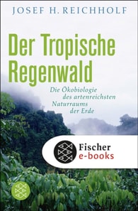 Der tropische Regenwald
