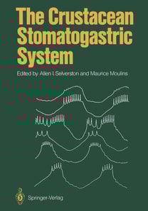 Crustacean Stomatogastric System