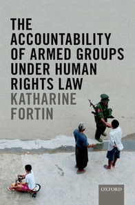 Accountability of Armed Groups under Human Rights Law